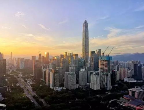 歌聲中的深圳 慶祝改革開放40周年，盤點40首“深圳之歌”（第三輯·社會經濟咨詢服務篇）